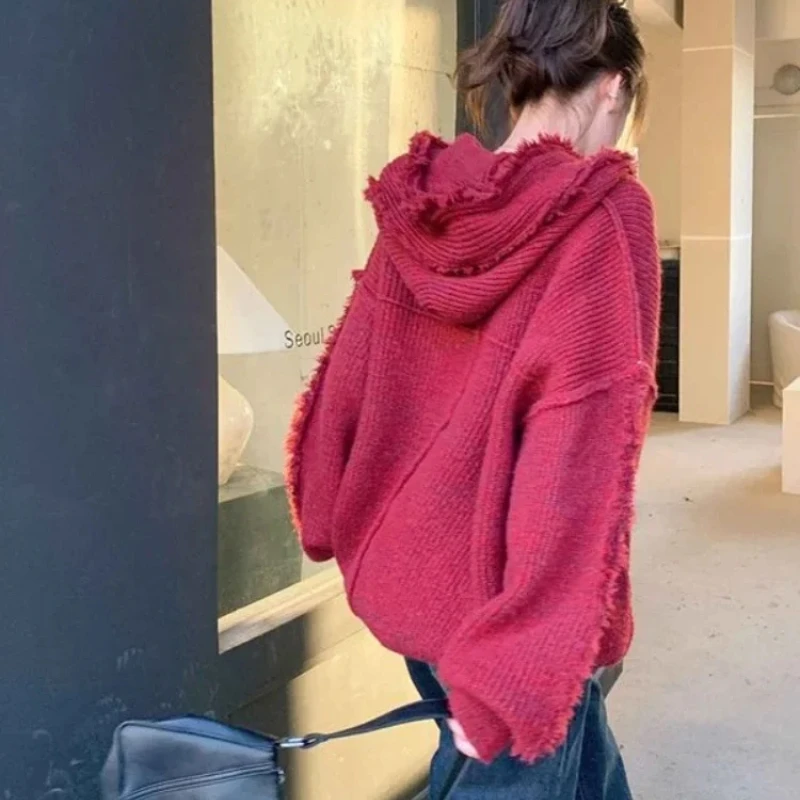 Winter Clothing Essential - Sonbahar ve kış kalın Hoodies soğuk