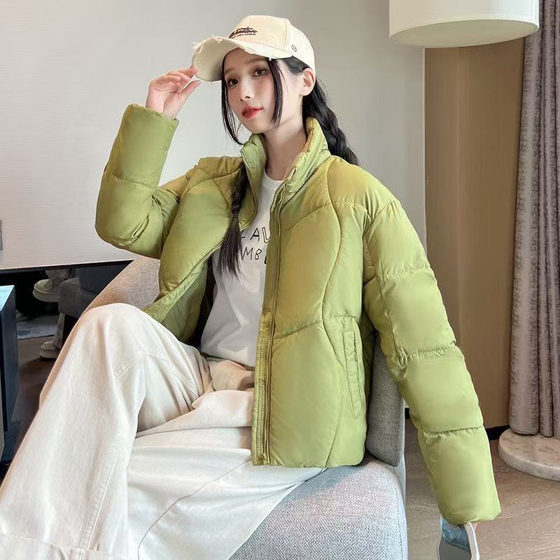 2025 Kışlık Şişme Mont Kadın D - Puffer Jacket Women Down incelemesi ve fiyatı